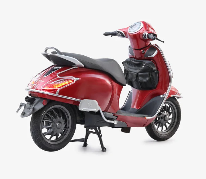 Bajaj Chetak 2903 Electric (EV) Combo Accessories Kit 1: Stainless Steel Foldable Footrest + Crash Guard + Mud Guard